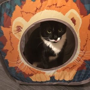 Meet your Posher, Lisa